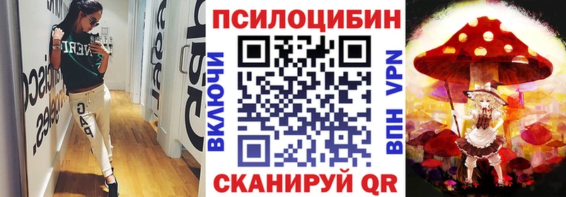 Псилоцибиновые грибы Psilocybine cubensis omg онион Чапаевск купить наркотик